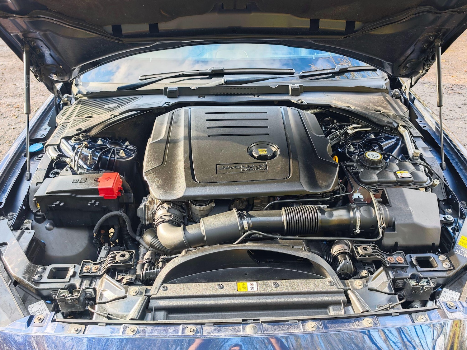 Used Jaguar XE 2017 for sale - 76633714: Photo 10