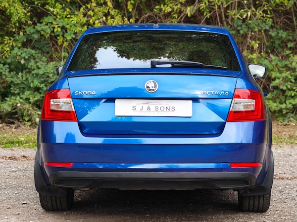 Used Skoda Octavia 2019 for sale - 76226168: Photo 7