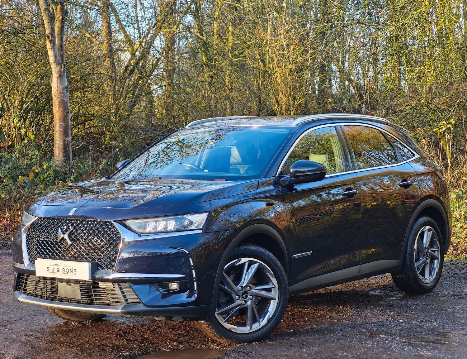 Used DS Automobiles DS 7 2019 for sale - 76926216: Photo 1