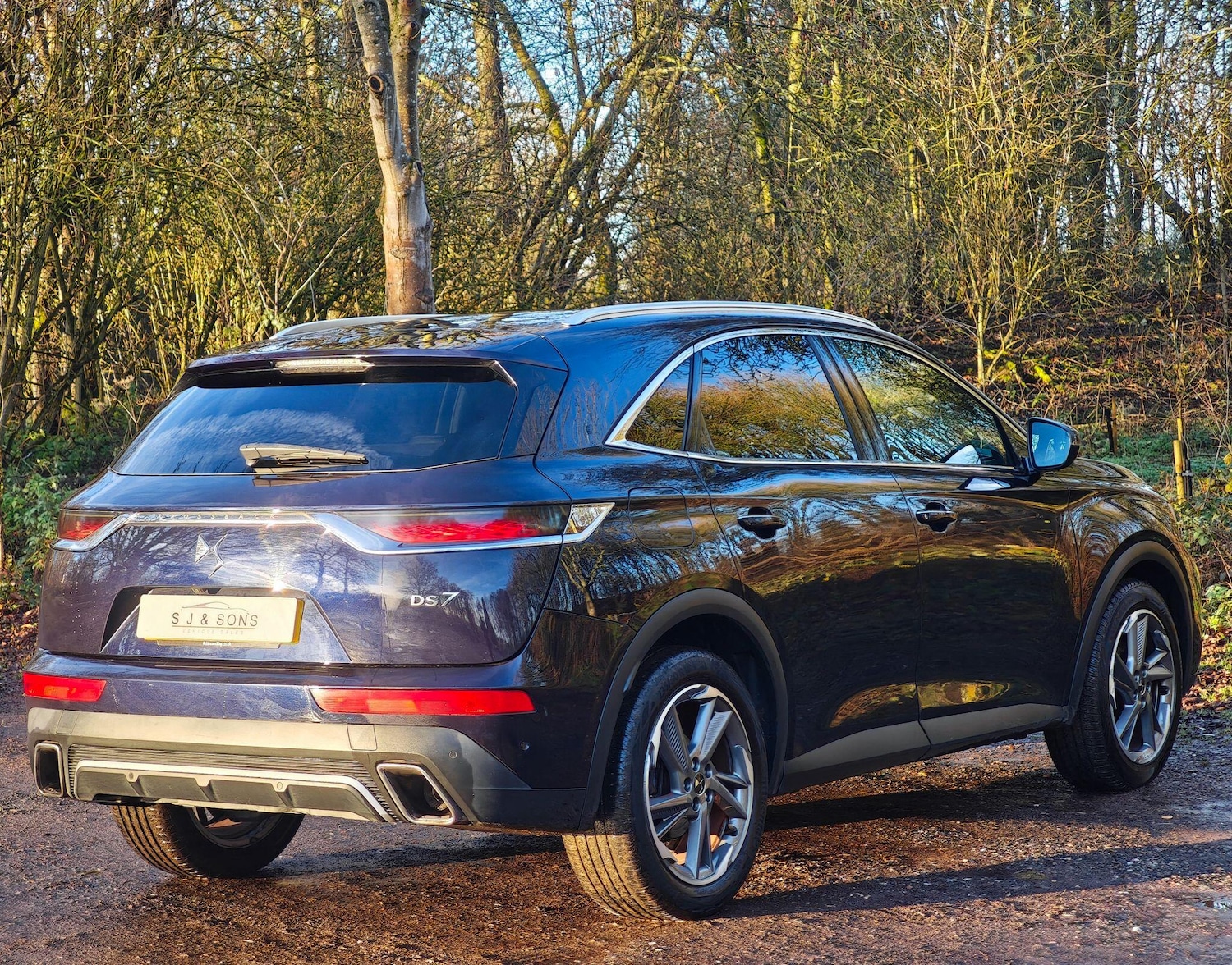 Used DS Automobiles DS 7 2019 for sale - 76926216: Photo 3