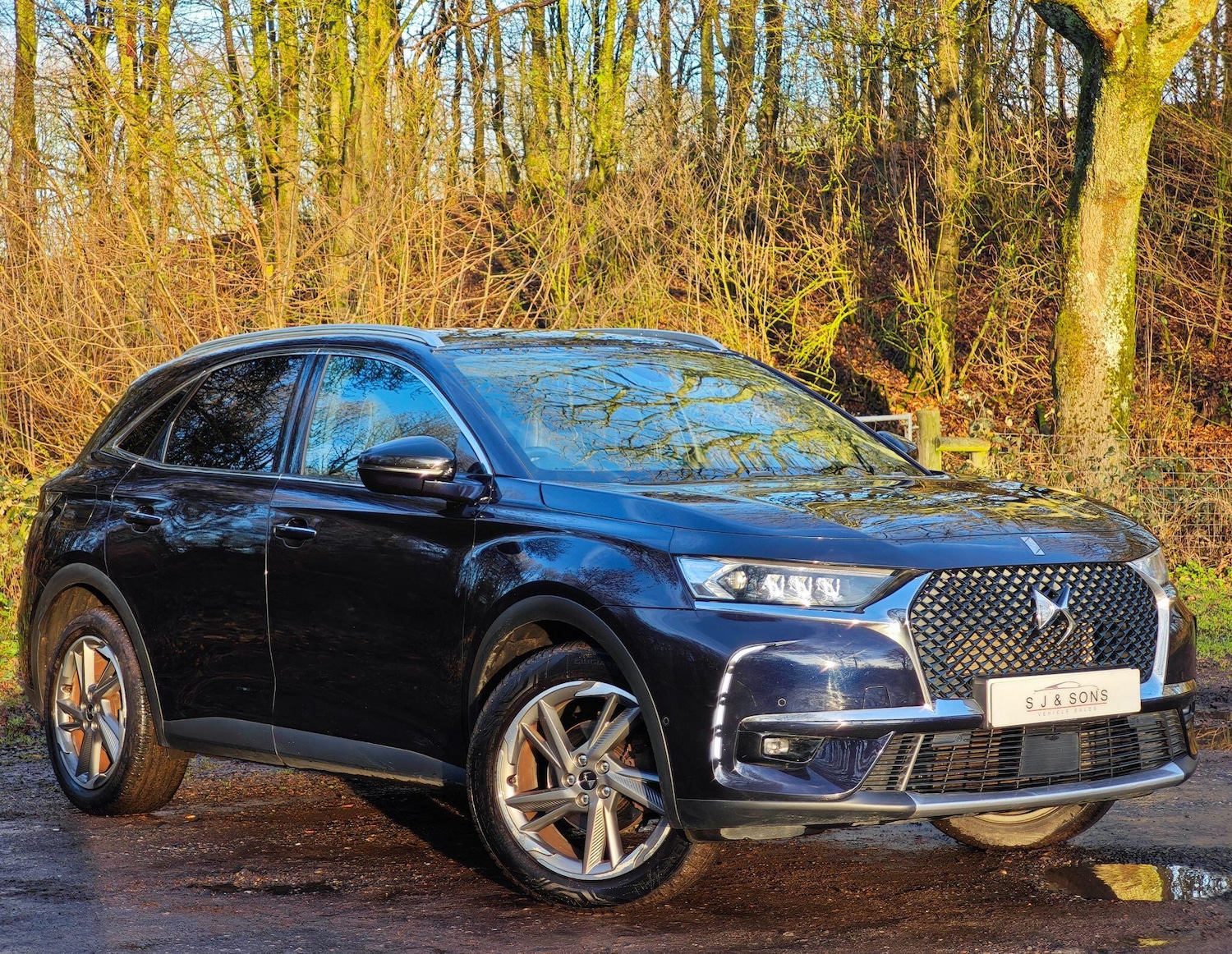 Used DS Automobiles DS 7 2019 for sale - 76926216: Photo 4