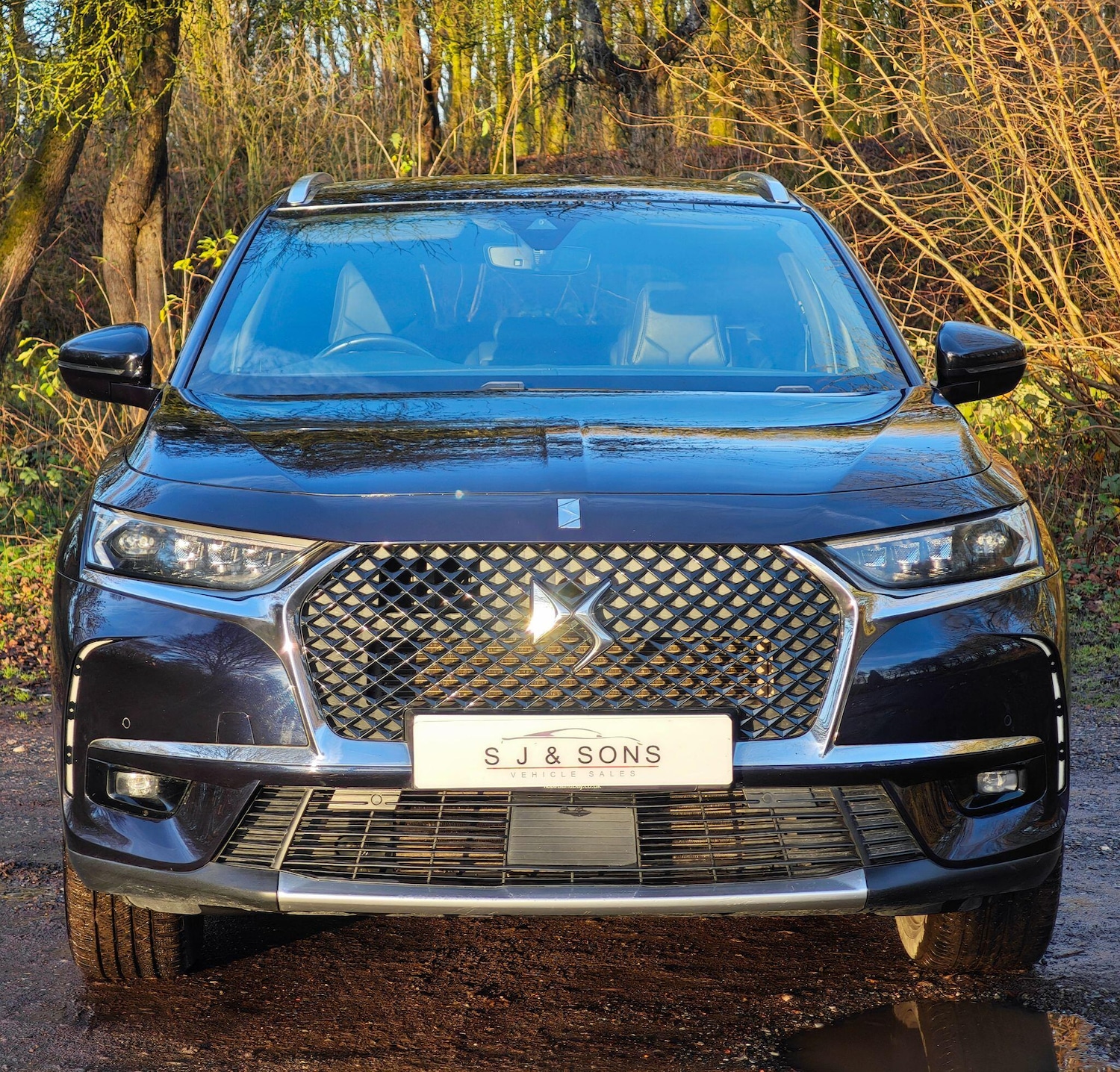 Used DS Automobiles DS 7 2019 for sale - 76926216: Photo 8