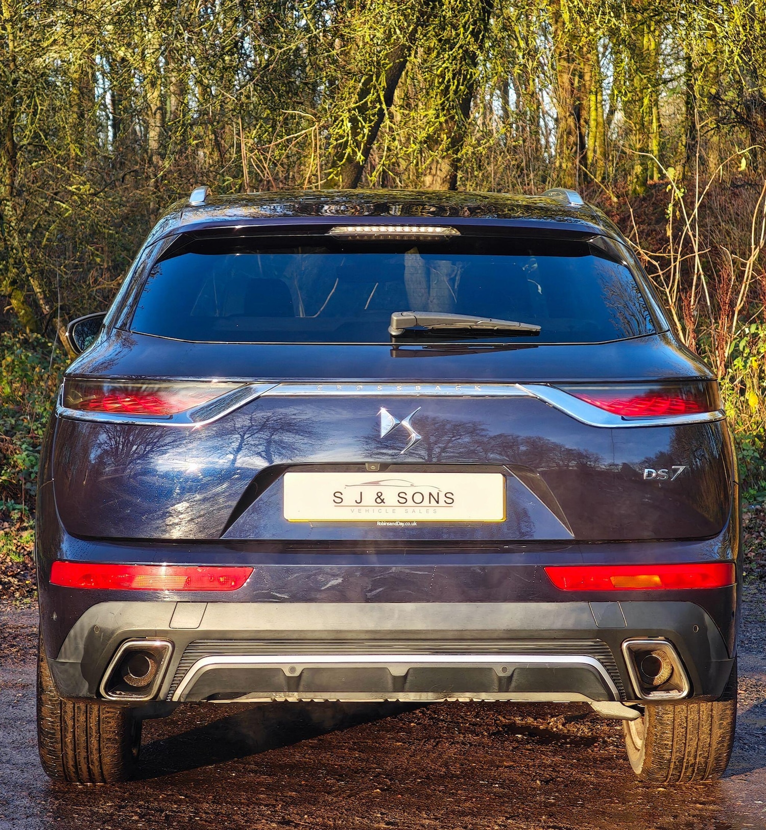 Used DS Automobiles DS 7 2019 for sale - 76926216: Photo 9