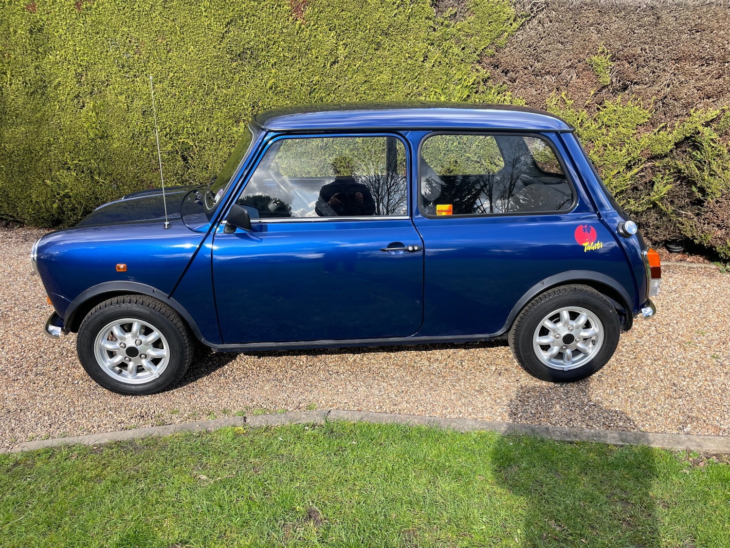 Used Rover Mini 1993 for sale - 77903629: Photo 4