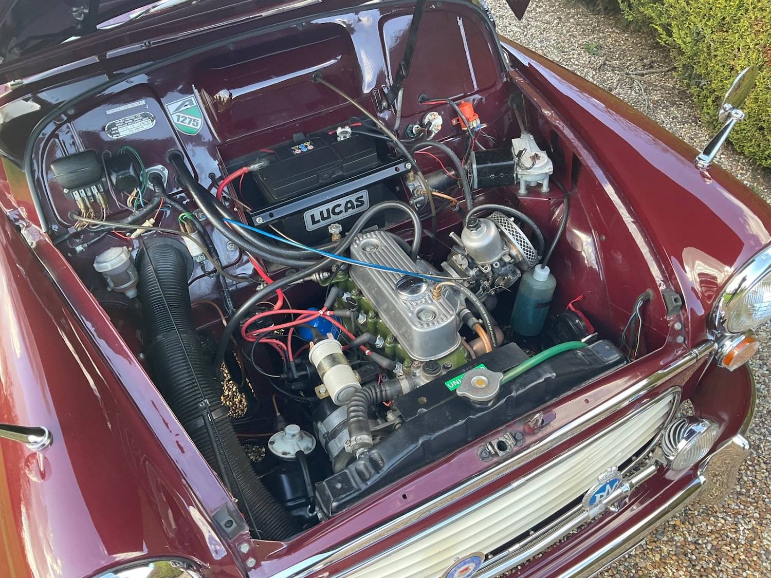 Used Morris Minor 1966 for sale - 77903340: Photo 13