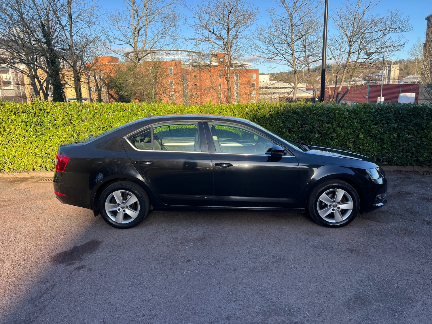 Used Skoda Octavia 2019 for sale - 77798713: Photo 11