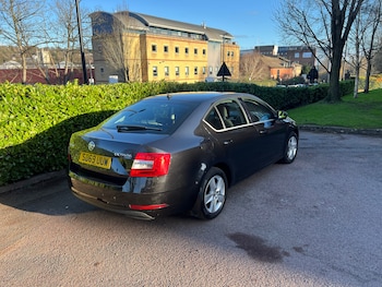 Used Skoda Octavia 2019 for sale - 77798713: Photo
