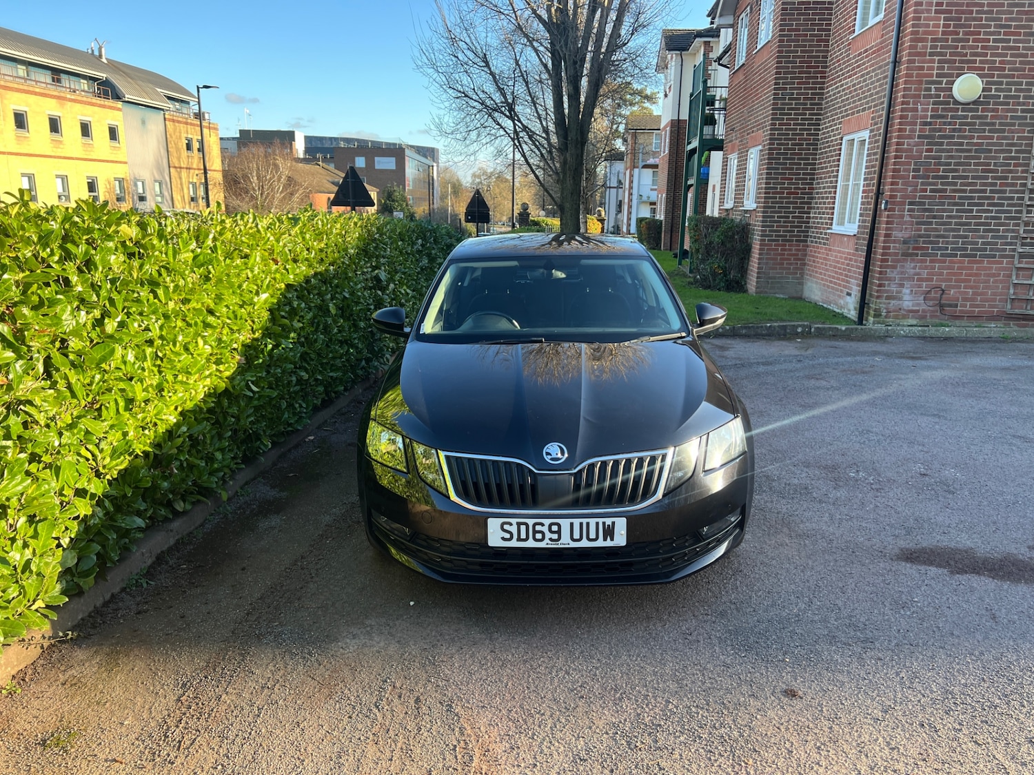 Used Skoda Octavia 2019 for sale - 77798713: Photo 5