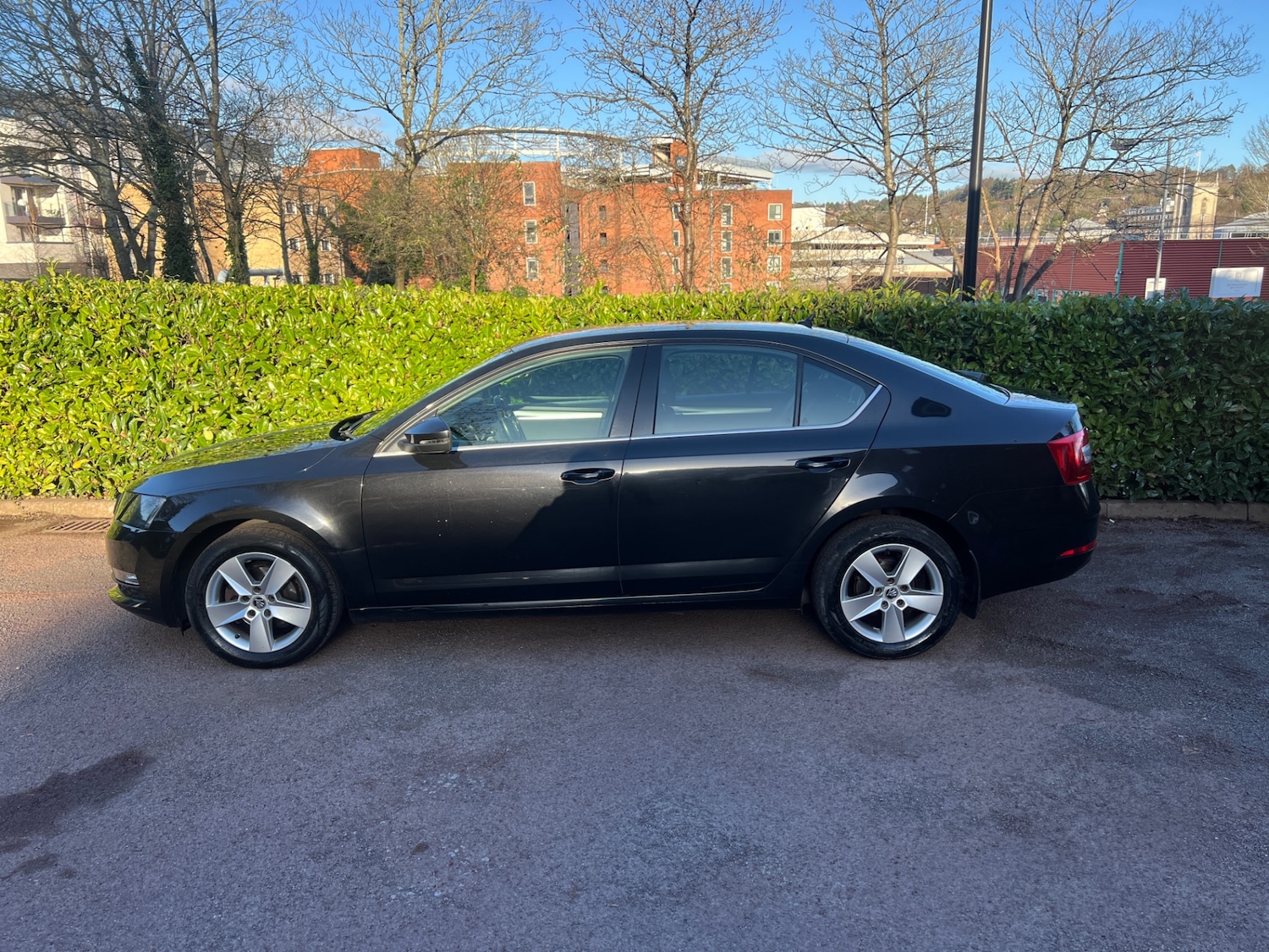 Used Skoda Octavia 2019 for sale - 77798713: Photo 7