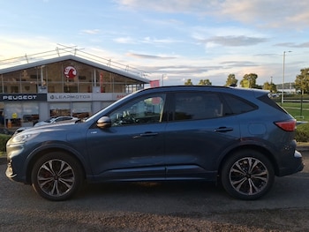Used Ford Kuga 2022 for sale - 79591796: Photo