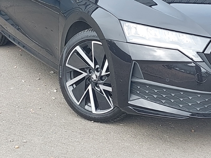 Used Skoda Octavia 2025 for sale - 78211603: Photo 9