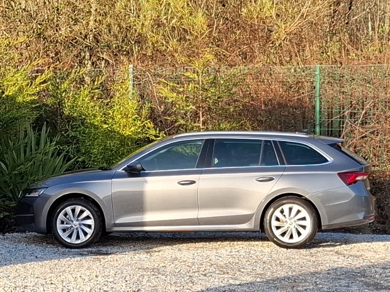 Used Skoda Octavia 2024 for sale - 77184330: Photo 4