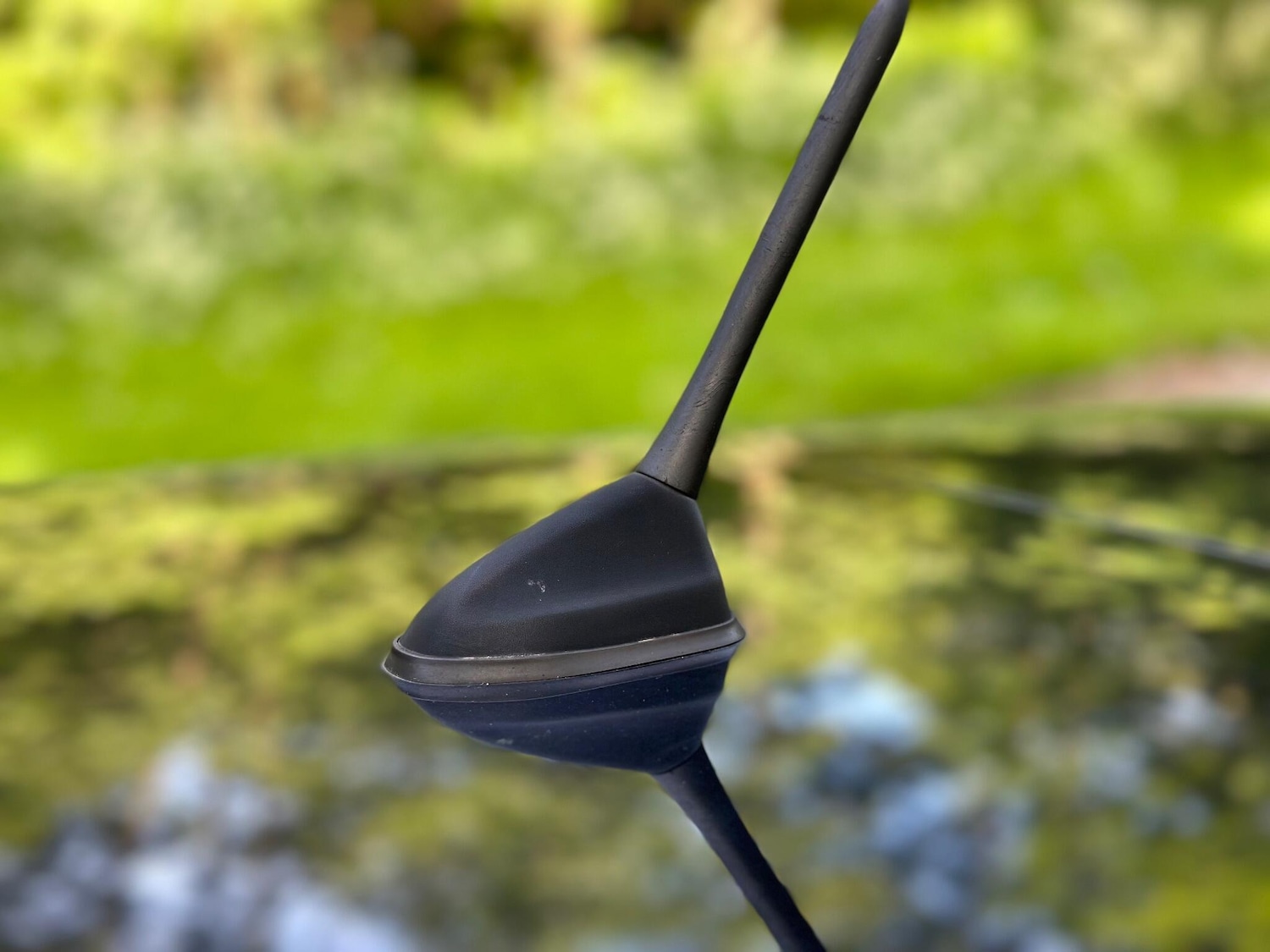 Used Ford Focus for sale - 76523291: Photo 54