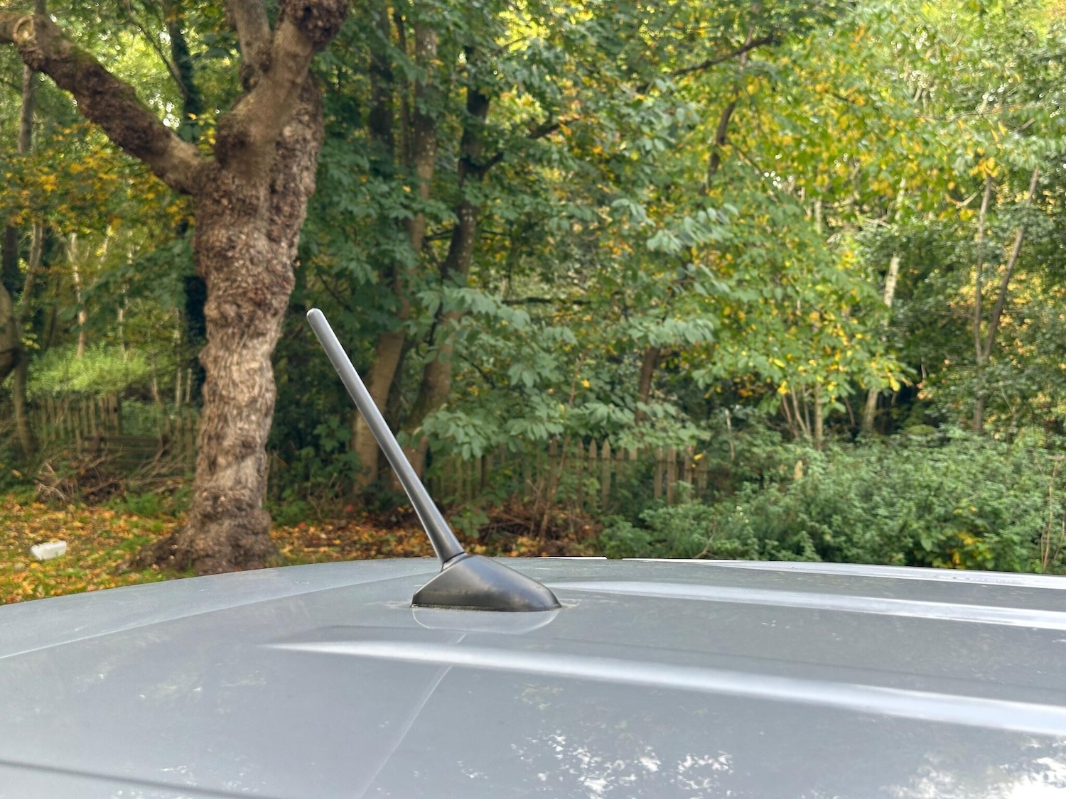 Used Toyota RAV4 for sale - 76523289: Photo 50