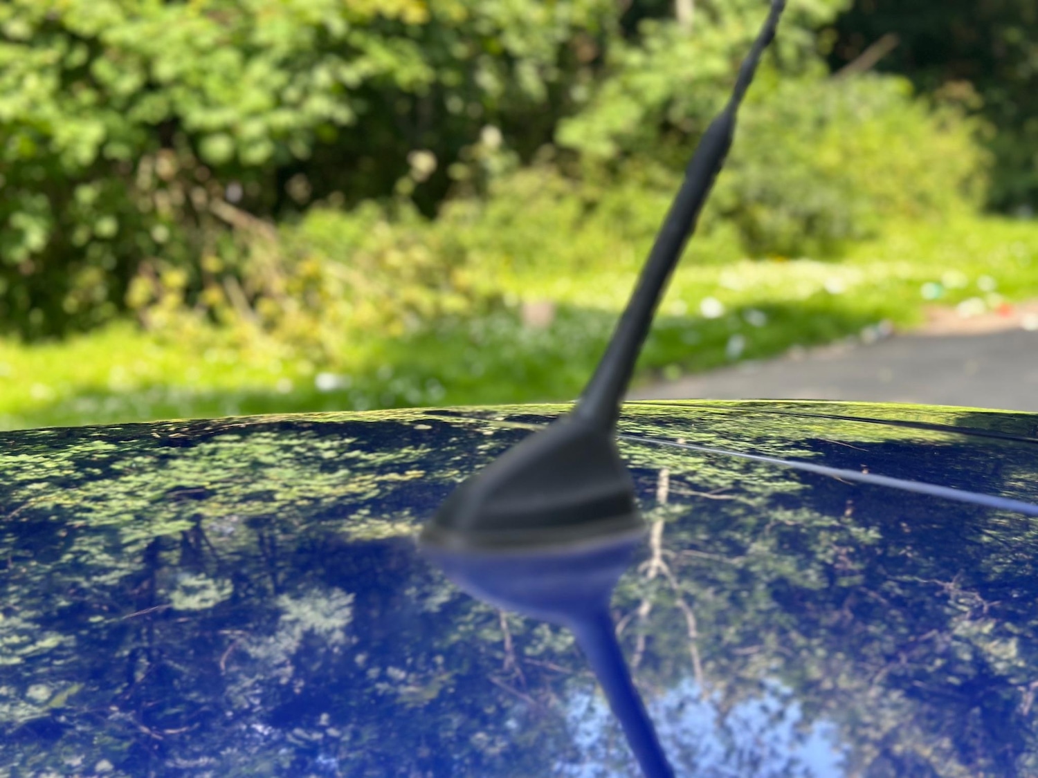 Used Ford Focus for sale - 76523283: Photo 54