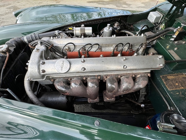Used Jaguar XK 1955 for sale - 74154254: Photo 21