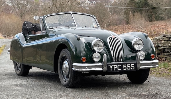 Used Jaguar XK 1955 for sale - 74154254: Photo 2