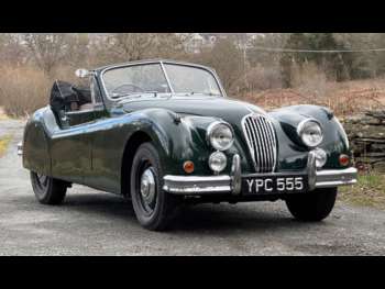 Used Jaguar XK 1955 for sale - 74154254: Photo