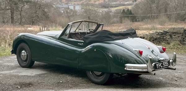 Used Jaguar XK 1955 for sale - 74154254: Photo 3