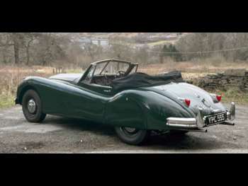 Used Jaguar XK 1955 for sale - 74154254: Photo