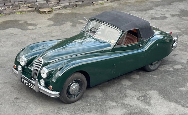 Used Jaguar XK 1955 for sale - 74154254: Photo 6