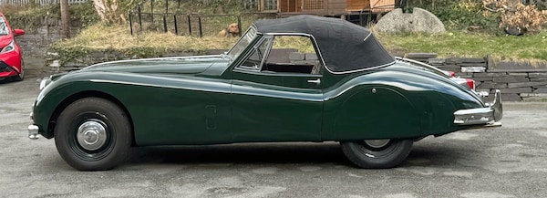 Used Jaguar XK 1955 for sale - 74154254: Photo 7