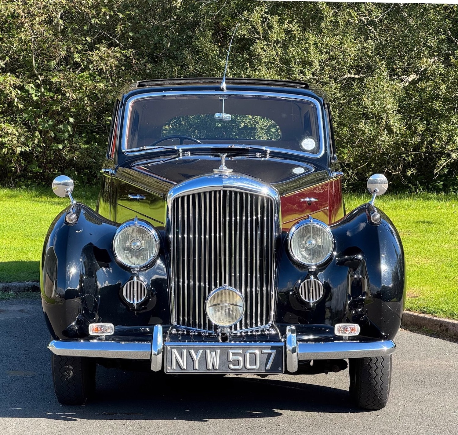 Used Bentley R Type 1953 for sale - 76182526: Photo 1