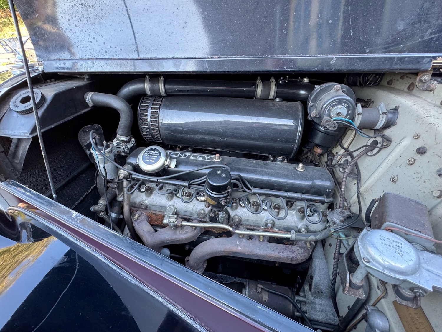 Used Bentley R Type 1953 for sale - 76182526: Photo 21