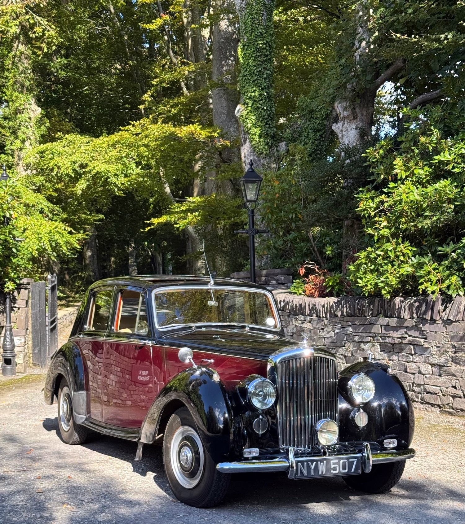 Used Bentley R Type 1953 for sale - 76182526: Photo 3