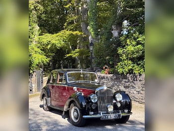 Used Bentley R Type 1953 for sale - 76182526: Photo