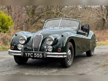 Used Jaguar XK 1955 for sale - 78592813: Photo