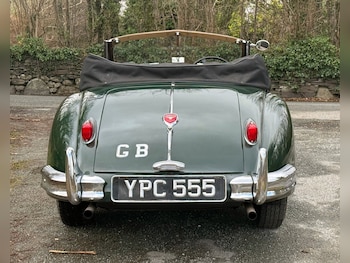 Used Jaguar XK 1955 for sale - 78592813: Photo