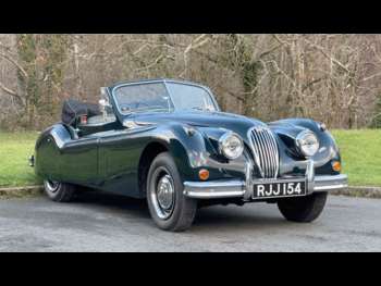 Used Jaguar XK 1955 for sale - 73696866: Photo