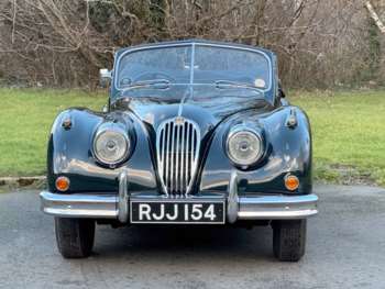 Used Jaguar XK 1955 for sale - 73696866: Photo