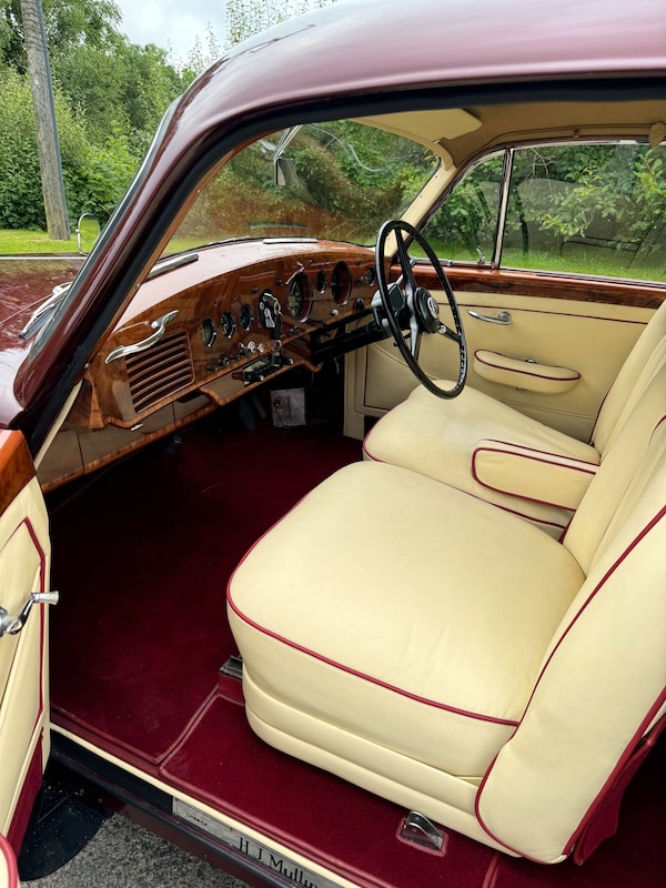 Used Bentley Continental 1954 for sale - 76157371: Photo 11