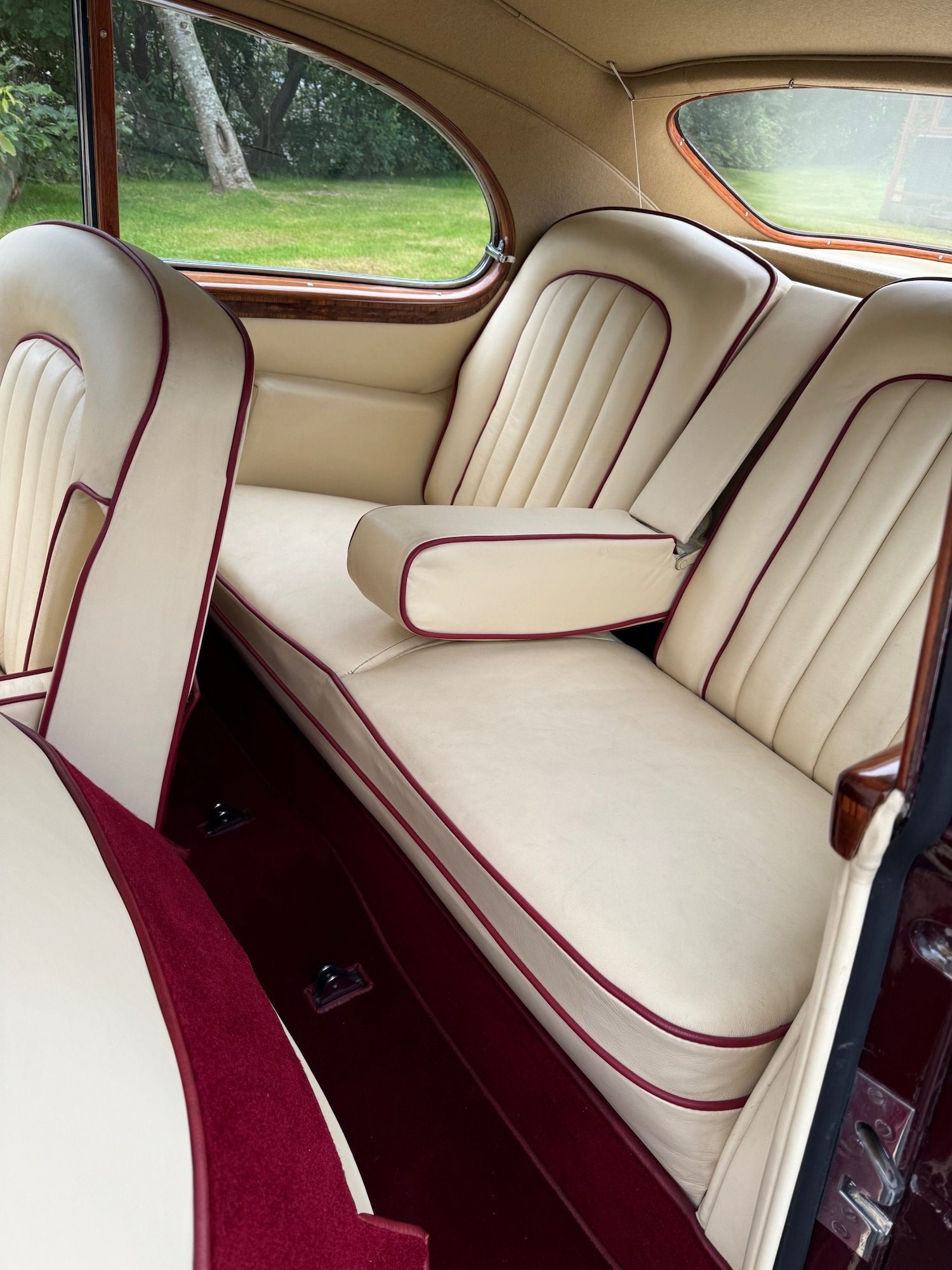 Used Bentley Continental 1954 for sale - 76157371: Photo 12