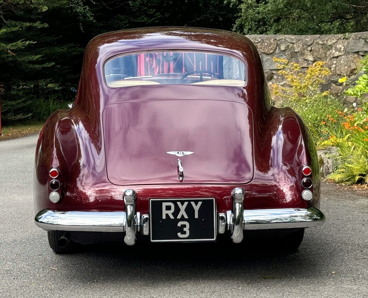 Used Bentley Continental 1954 for sale - 76157371: Photo 6