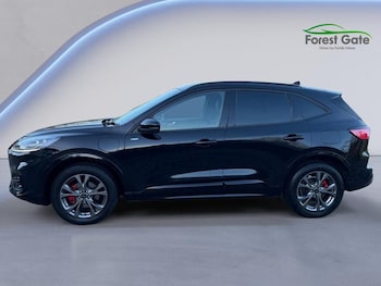 Used Ford Kuga 2023 for sale - 77132634: Photo