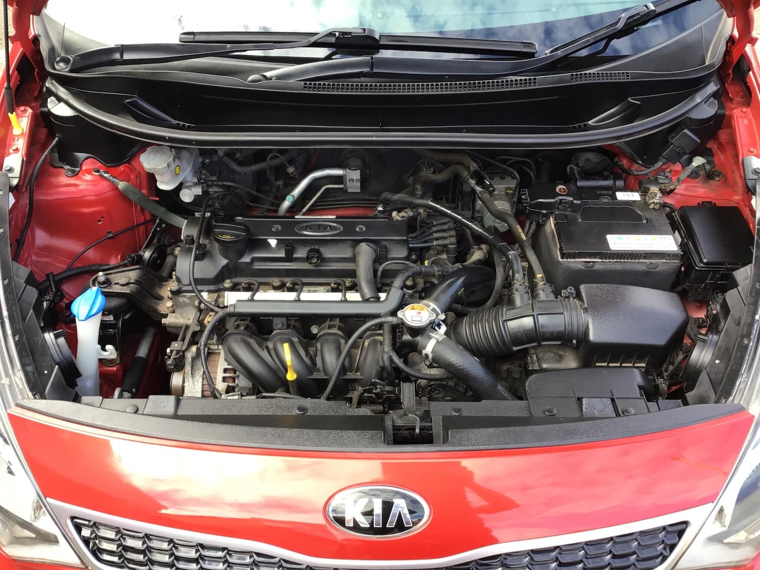 Used Kia Rio 2015 for sale - 78058021: Photo 16