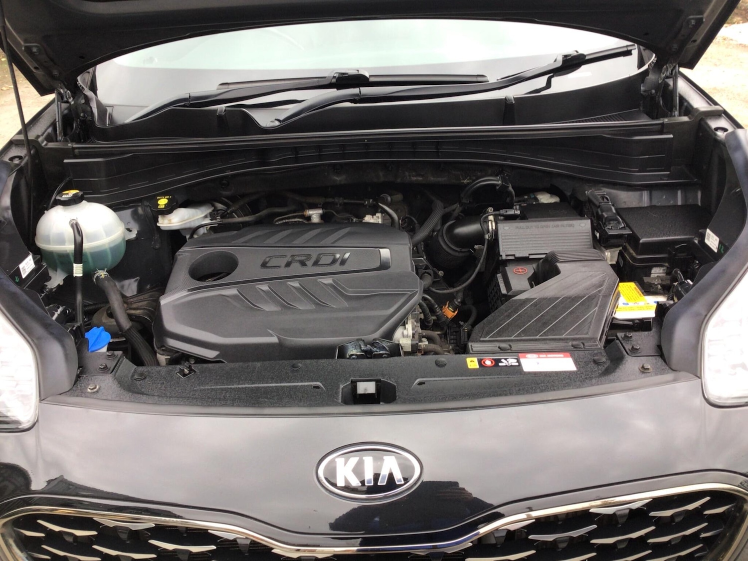 Used Kia Sportage 2019 for sale - 76260434: Photo 16
