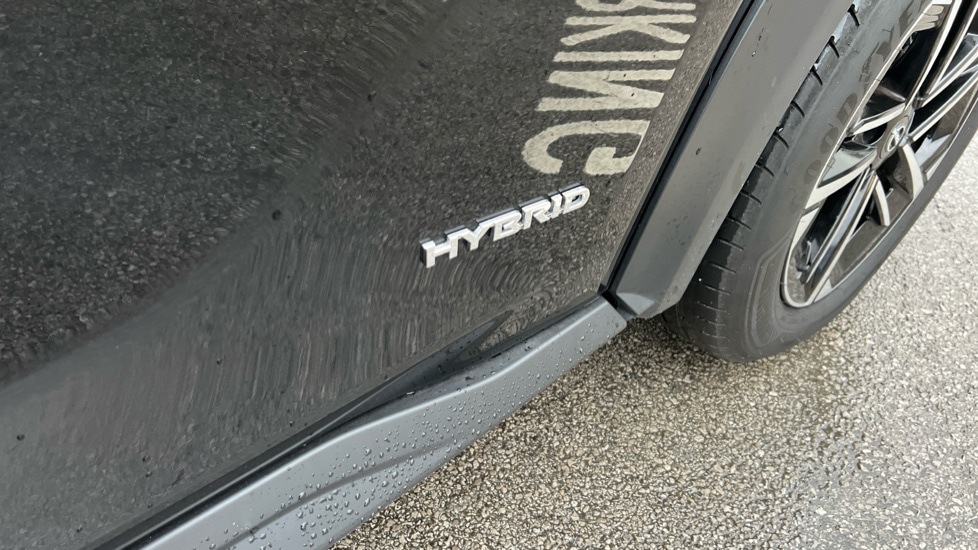 Used Nissan Juke 2024 for sale - 76948505: Photo 41