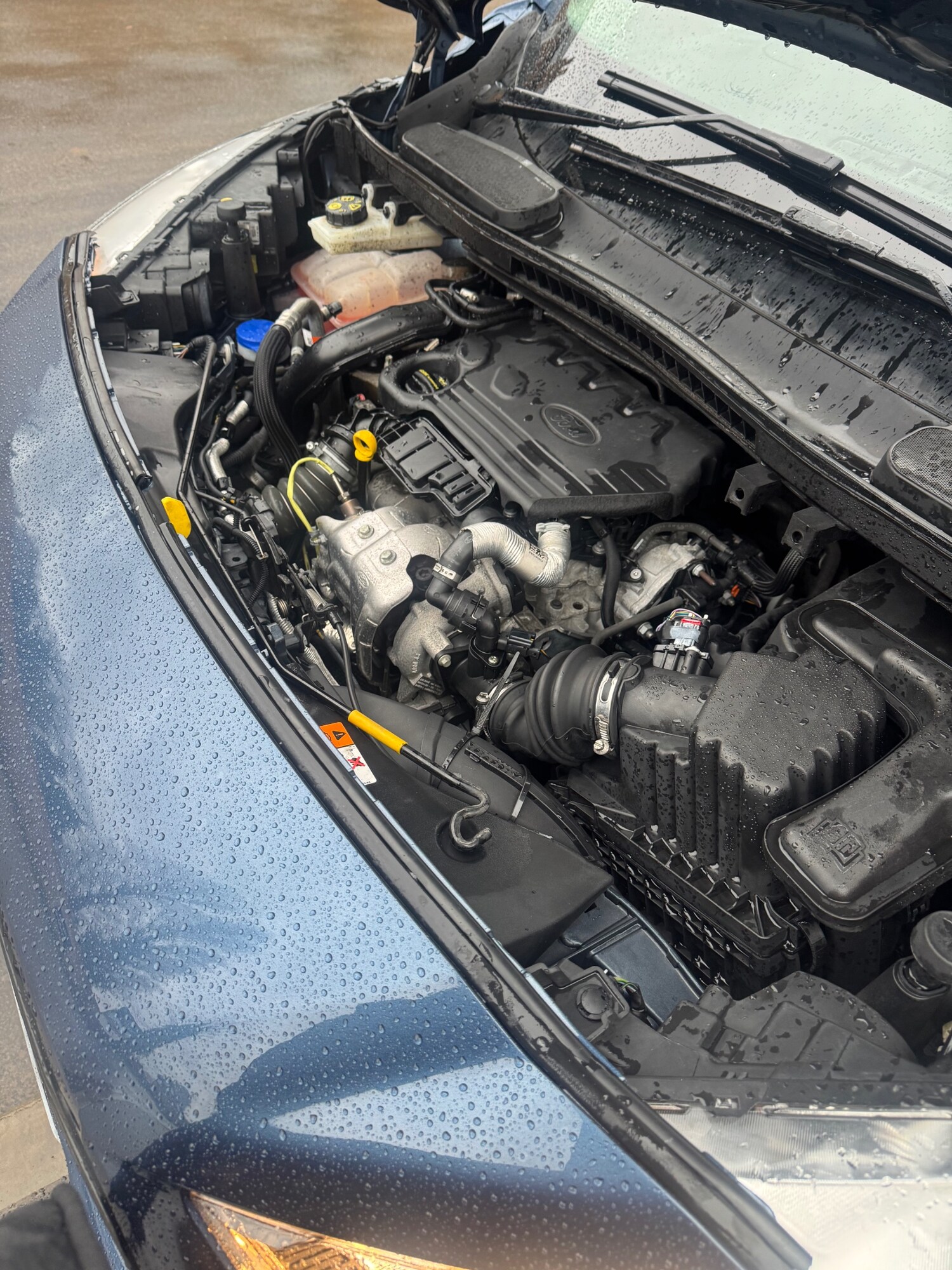 Used Ford Transit Connect 2019 for sale - 77165162: Photo 10