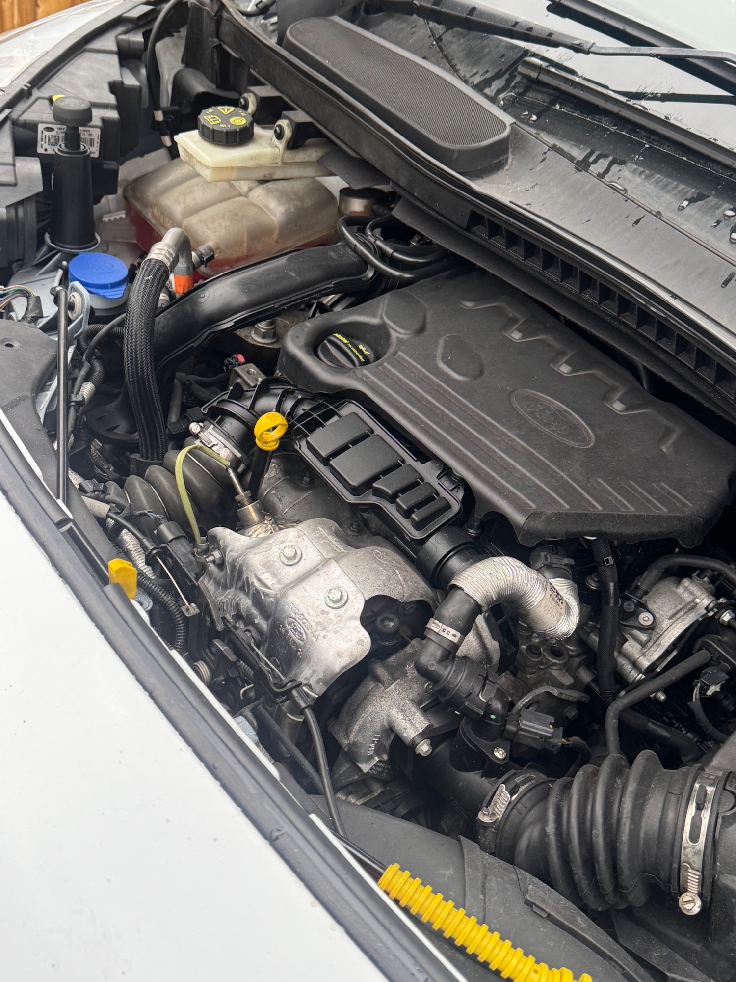 Used Ford Transit Connect 2021 for sale - 77290416: Photo 20