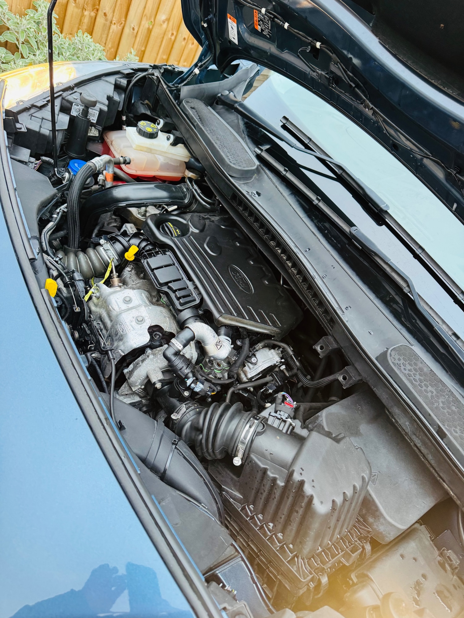 Used Ford Transit Connect 2019 for sale - 78033563: Photo 33