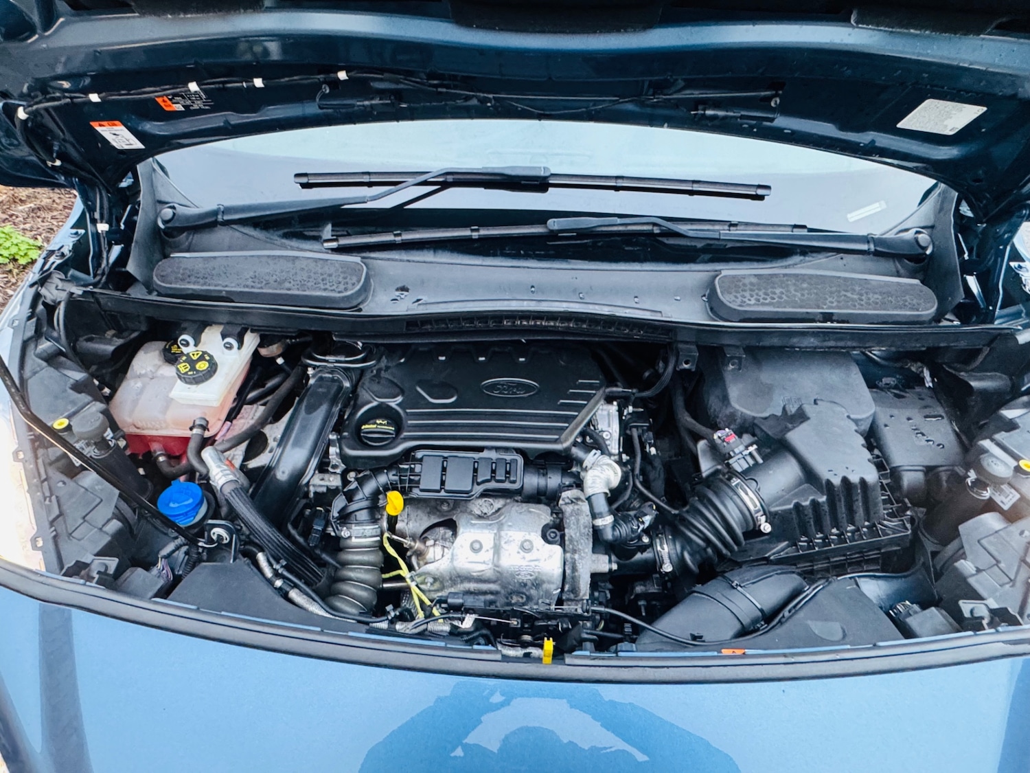 Used Ford Transit Connect 2019 for sale - 78033563: Photo 34