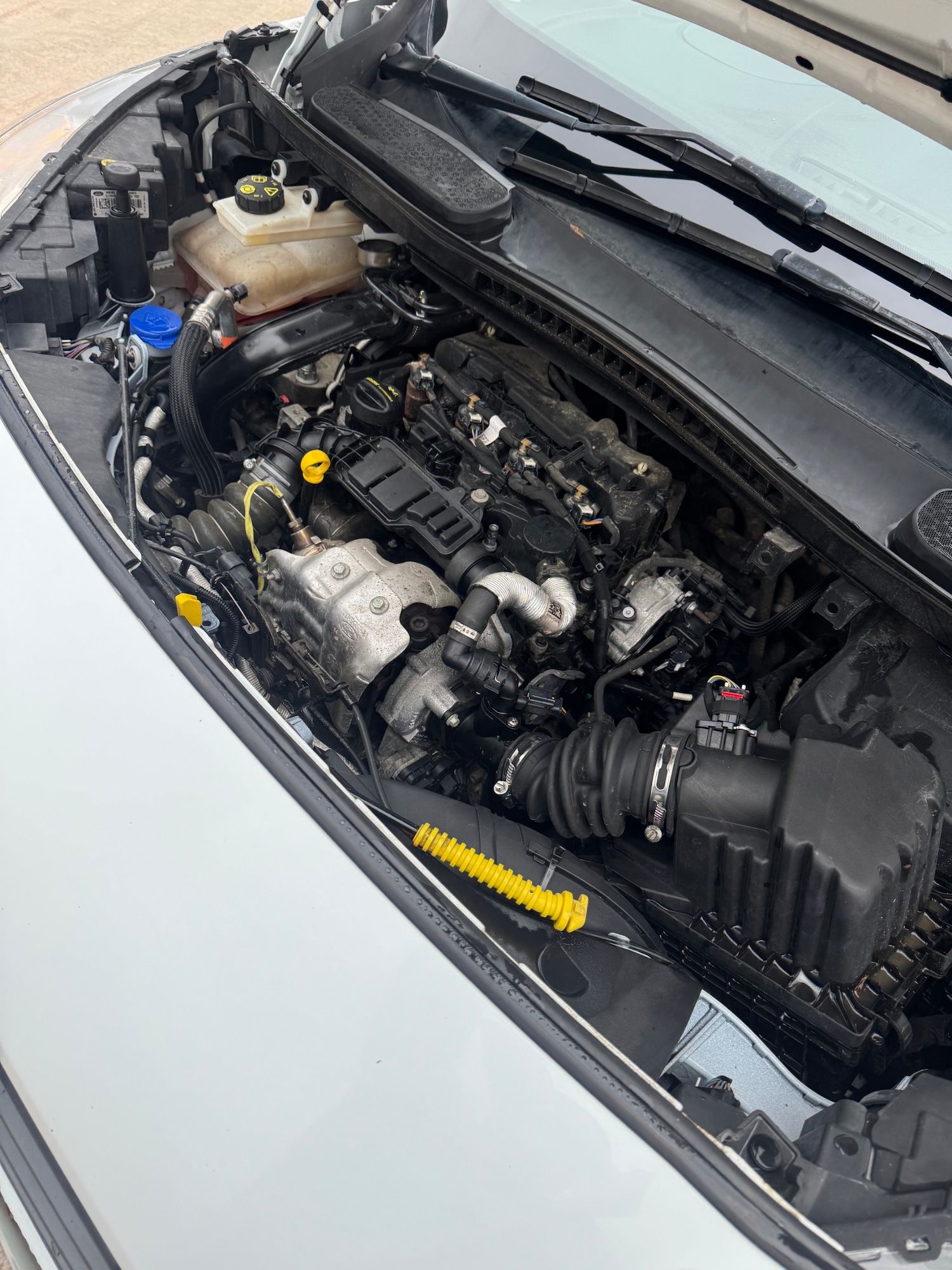 Used Ford Transit Connect 2020 for sale - 76557051: Photo 22