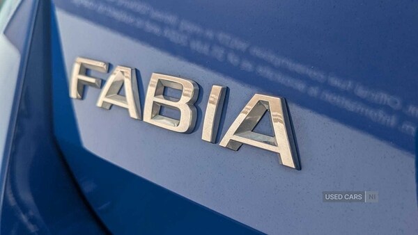Used Skoda Fabia 2023 for sale - 75292472: Photo 8
