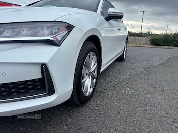 Used Skoda Superb 2025 for sale - 77825659: Photo