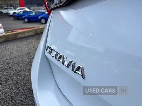 Used Skoda Octavia 2024 for sale - 77840133: Photo 13
