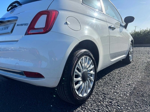 Used Fiat 500 2023 for sale - 77754551: Photo 9